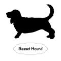 Vector Isolated Silhouette Of Basset Hound Dog On White Background.